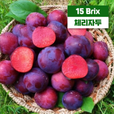 나디아 체리자두 국산 거창 고당도, 체리자두 소과(50g 이하) 2kg
