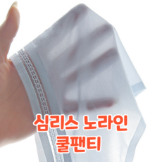 투명팬티