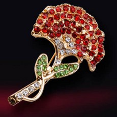 부토니에코사지