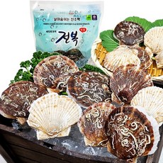 남해안참소라