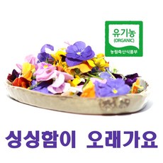 먹는꽃 유기농 식용꽃 30송이