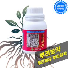 뿌리영양제 발근력 뿌리발근 활착촉진 뿌리회복 뿌리재생 식물영양제, 1개, 300ml