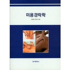 미용경락이론과실제