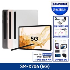 공식인증점 삼성전자 갤럭시탭 S8 SM-X706 5G 256GB, 그래파이트