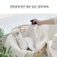 구두곰팡이