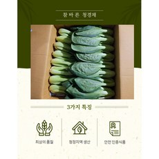 청경채2kg, 1개, 2kg