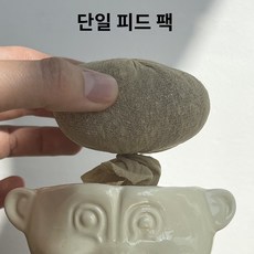 트롤 화분 꽃병 사무실 귀여운 키우기 화병, 싱글 씨드 리필 팩 호밀