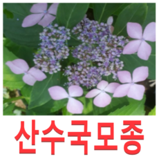 오늘의중국방송