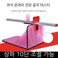 유연성측정기 높이조절 윗몸굽히기 체대입시 체전굴 검사 좌전굴 경찰 스트레칭 허리 소방 요가, 1개, 1개입
