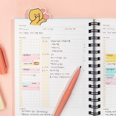 춘식이물놀이공