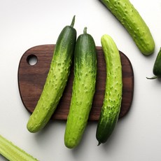 덕산농협 오감드레 진천 백오이 20개(4kg내외)
