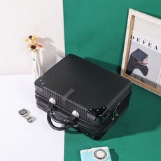 수트케이스기내보관