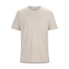 아크테릭스코막