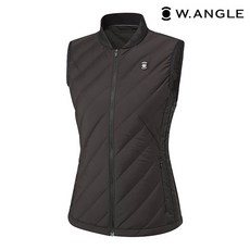 와이드앵글스윙다운