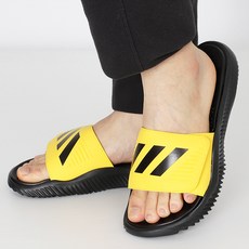 알파바운스키즈