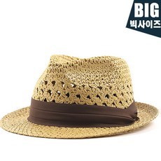 페도라c0라이트