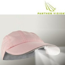 조명캐리어