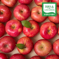 경북 의성 저탄소인증 홍로 부사 사과 정품, 1박스, 당도선별 사과 3kg 대과
