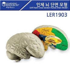 러닝리소스뇌