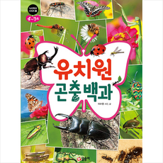 곤충백과