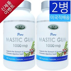 마이라이프 매스틱검 1000mg 120정 2병