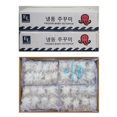 도매/업소용 대용량 손질 냉동주꾸미 2.4kg (8마리 10마리 15마리) / 베트남 [EL], 8미