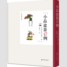 꽃화관클래스