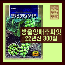 국산미니양배추