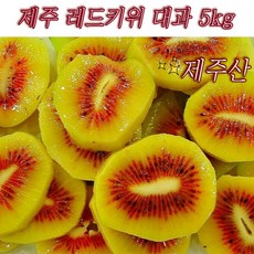 레드키위 홍다래 대과 고당도 제주 직송 20brix, 1개, 5kg (52-67과)