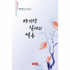 마지막 잎새의 설움 시음사 시선 406, 상품명