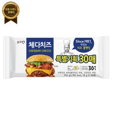 동원소와나무 체다치즈 540G