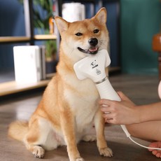 반려동물 드라이 용품 고양이 강아지 드라이 드라이 브러쉬, 1개