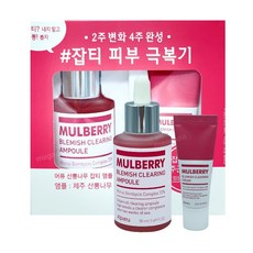 어퓨 산뽕나무 잡티 앰플 대용량 기획 세트 50ml+22ml