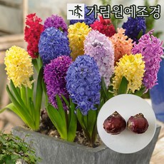 e080b7a6dfd6aeb3937ab30c5d1d660a101f588d4d6c1e242f84612bd886.jpg