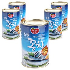 원래꽁치