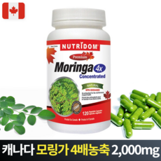 뉴트리돔 모링가 4배농축 2000mg 120정 캡슐 환 분말 캐나다직구, 1개