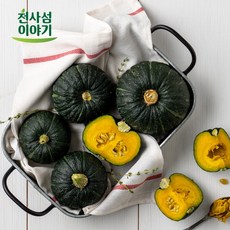 신안단호박
