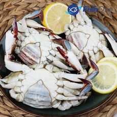 [피시원] 이력추적 알이 꽉찬 국산 통 암꽃게(냉동) 1kg