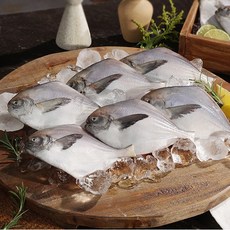 국내산 손질병어 흰살생선 자연산 고단백 감칠맛 담백한맛 고품질 가족반찬 밥반찬 생선구이 청정바다 저지방 별미 대용량 부모님선물, 20개, 110g