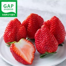 딸기교수의 16brix 프리미엄 설향 딸기, 1개, 1kg(중)