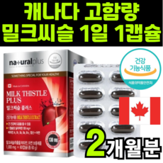 저녁음주수치