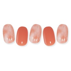 선샤인프라이머