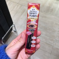 [이라운드몰]CANMAKE 래쉬 프레임 마스카라 5.5g, 단품, 옵션선택