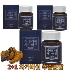 차가버섯명품 용기형 시베리아 추출 분말 2+1, 시베리아차가버섯추출분말35g 2+1_총3박스