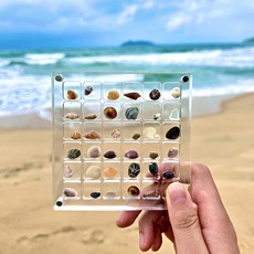 아크릴 보석함 콩알금 조개 비즈 주얼리 케이스 미니 악세서리 보관함, 1개