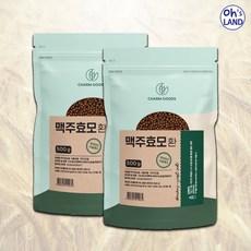 맥주효모환1kg