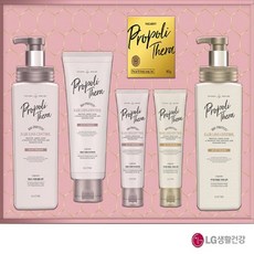 LG 프로폴리테라85호-4세트 선물세트 샴푸트리트먼트비누선물세트 설추석명절, 4세트