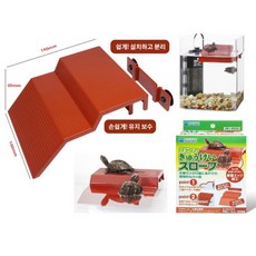 리솜아일랜드수영장