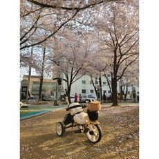 트라이시클