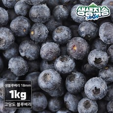 슈퍼푸드 국산 생블루베리 1kg(18mm)/고당도 블루베리